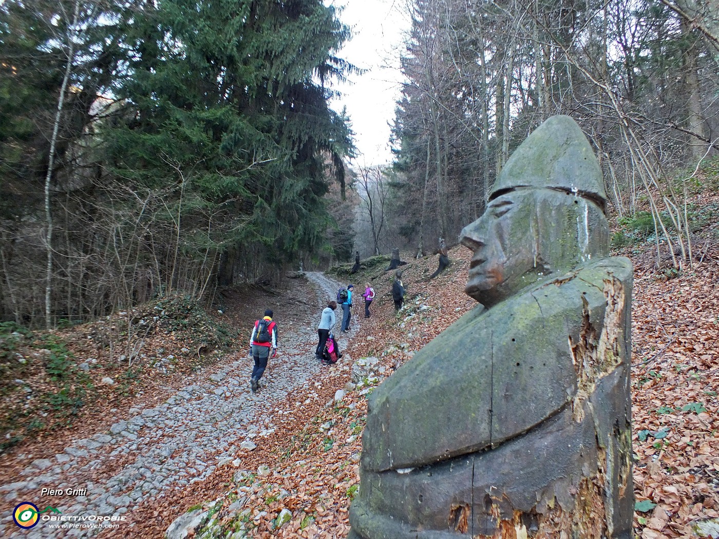 16 Siamo nel 'Bosco degli Gnomi'.JPG